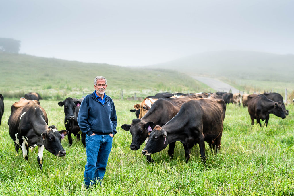 Albert Straus in a field with cows at the Straus Organic Dairy Farm