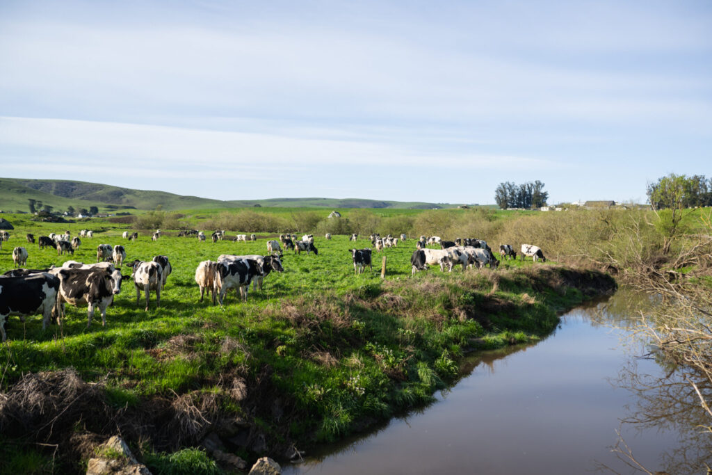 Organic farming