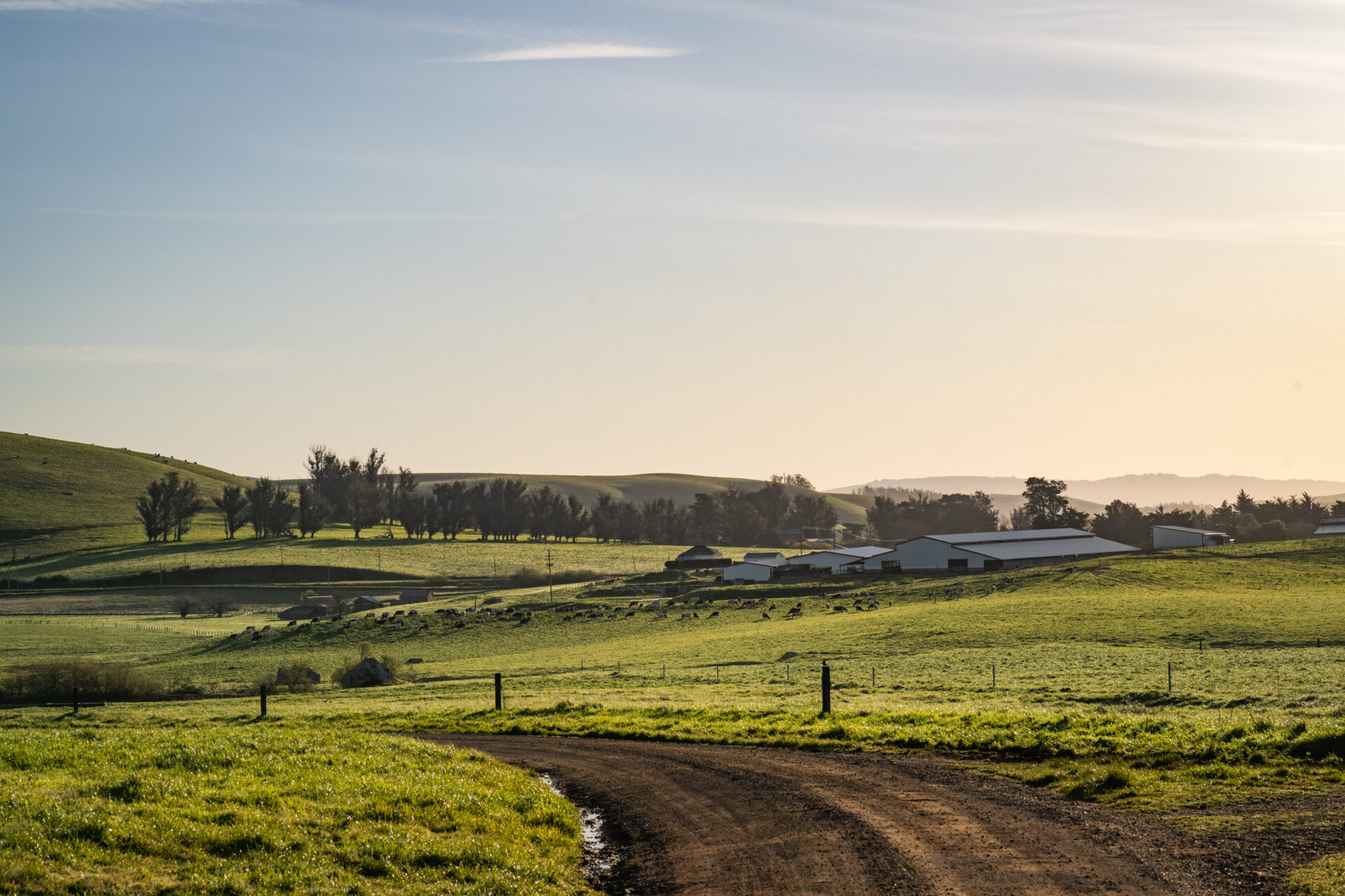 Organic farming
