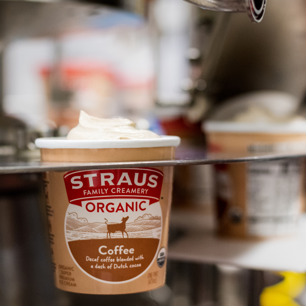 Container of Straus Family Creamery Organic ice cream on a production line, being sealed with a lid in a creamery facility.