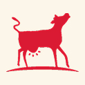 cow 1