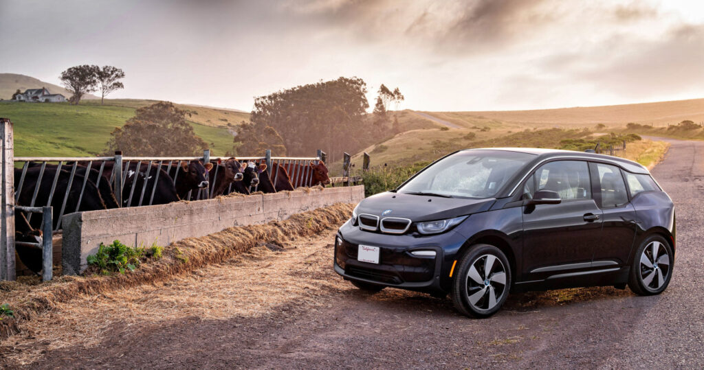 19 04 30 straus bmw 1398 altblur crop